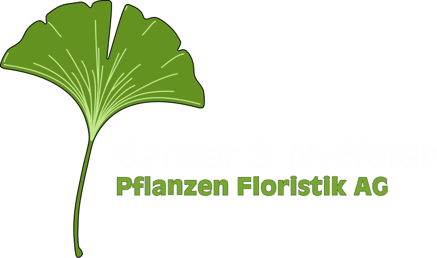 Gerber & Nyffeler Pflanzen Floristik AG E-Shop